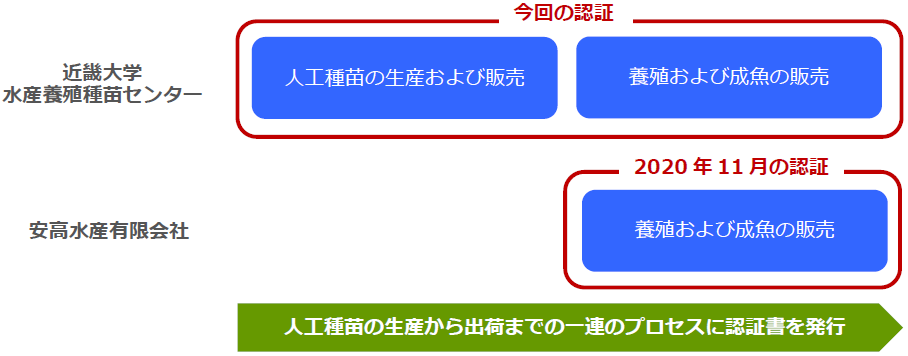 人工種苗の全工程を認証