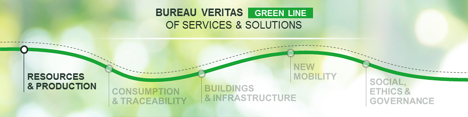 BUREAU VERITAS GREEN LINE OF SERVISES & SOLUTIONS-02