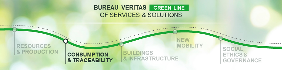 BUREAU VERITAS GREEN LINE OF SERVISES & SOLUTIONS-03