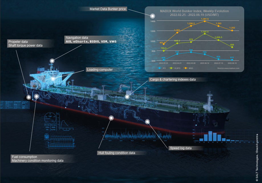 図：スマート化の対象となる船舶のデータ　©SALT Technologies, IStock/kyonntra