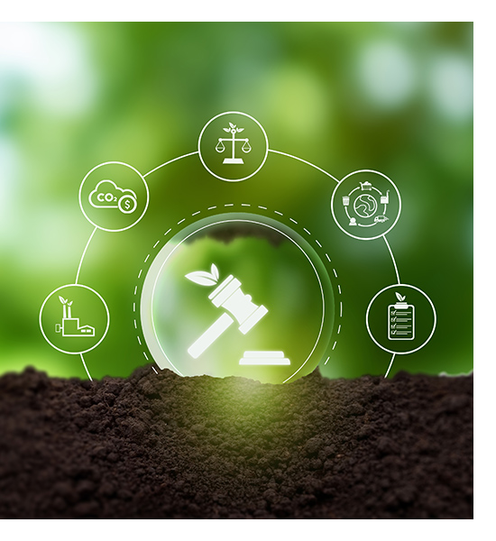 スコープ、要件、罰則 サスティナビリティイメージ画像