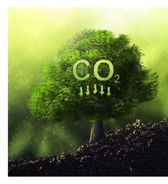 CBAM導入に向けた企業の準備 二酸化炭素排出量削減イメージ画像