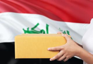 イラク共和国向け強制検査について